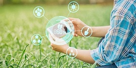  طراحی 6 پلتفرم برای رونق کشاورزی دیجیتال 