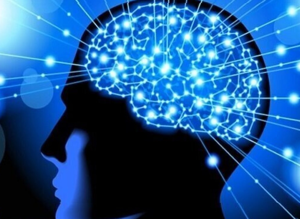 رونق کسب‌وکارهای دانش‌بنیانی در حوزه علوم شناختی 