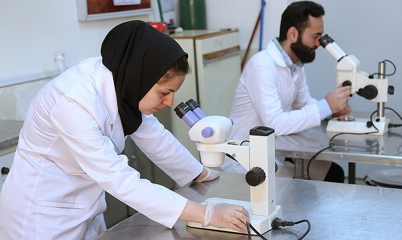 سبد حمایت از پژوهشگران و فناوران کشور در سال ۱۴۰۲ متنوع‌تر شد 
