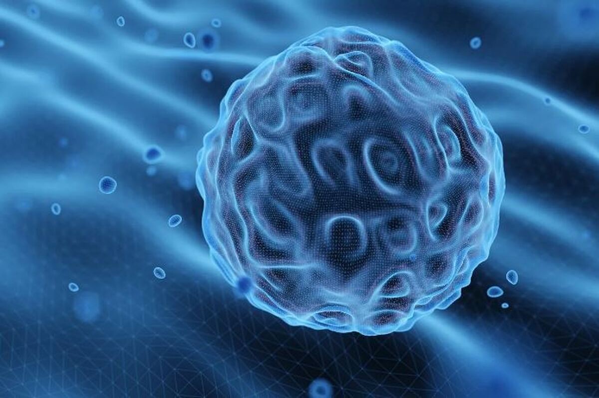 یافته‌های جدید، معمای چگونگی کنترل استرس توسط سلول‌ها را روشن می‌کند 