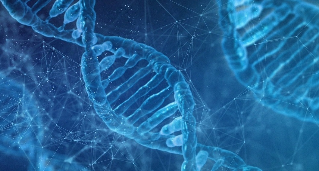  پیش‌بینی پاسخ‌های ایمنی بدن به نانوذرات DNA با کمک هوش مصنوعی