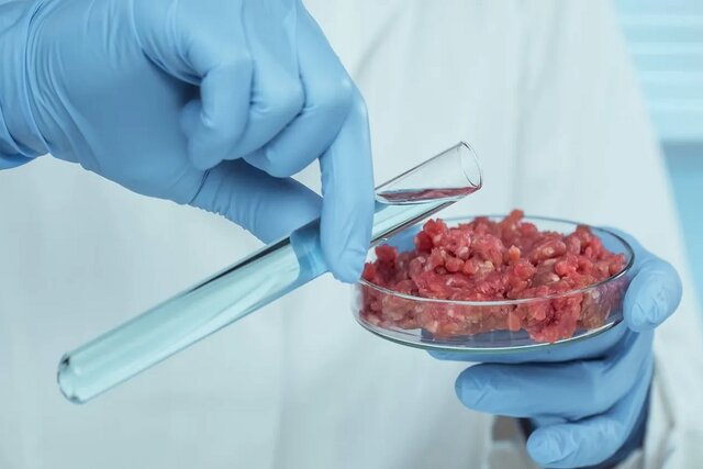  تولید گوشت آزمایشگاهی با میدان مغناطیسی